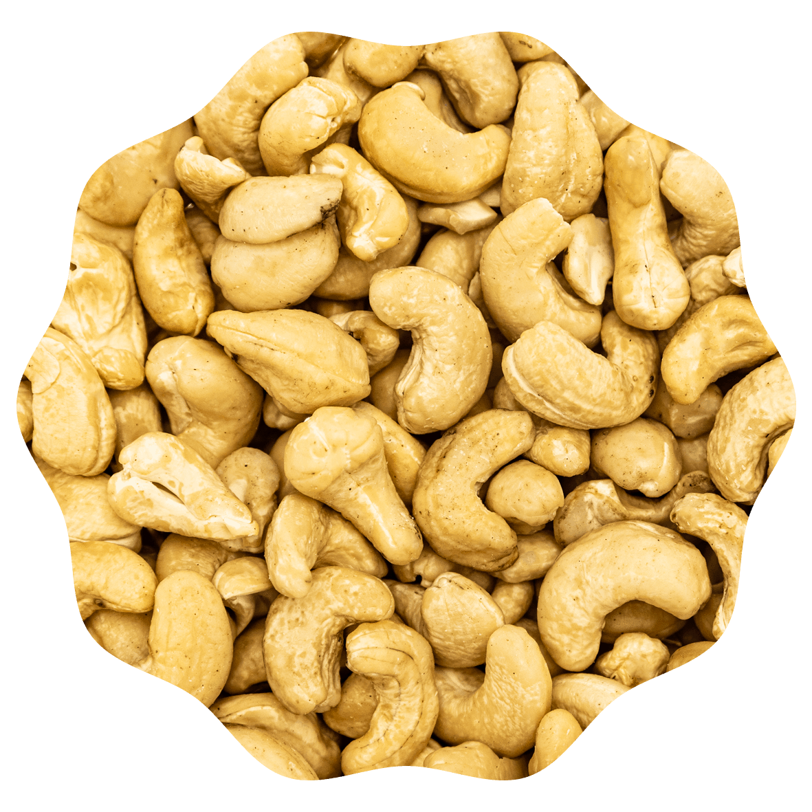 RANOBO NOIX DE CAJOU