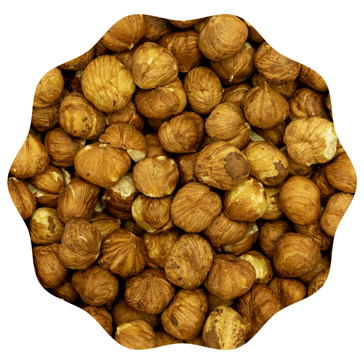 RANOBO NOISETTES BRUNES