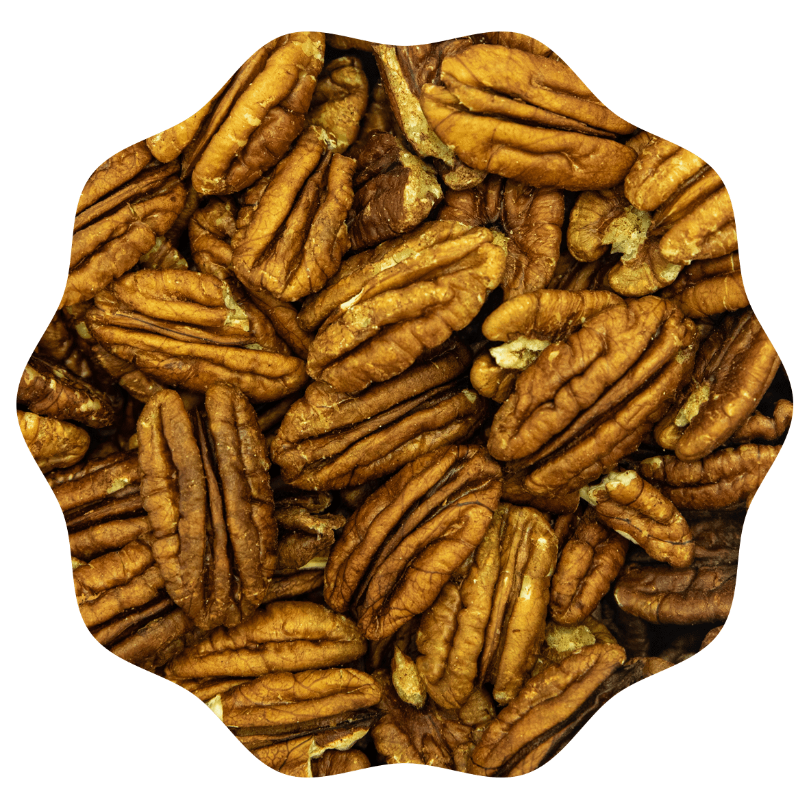 RANOBO NOIX DE PECAN