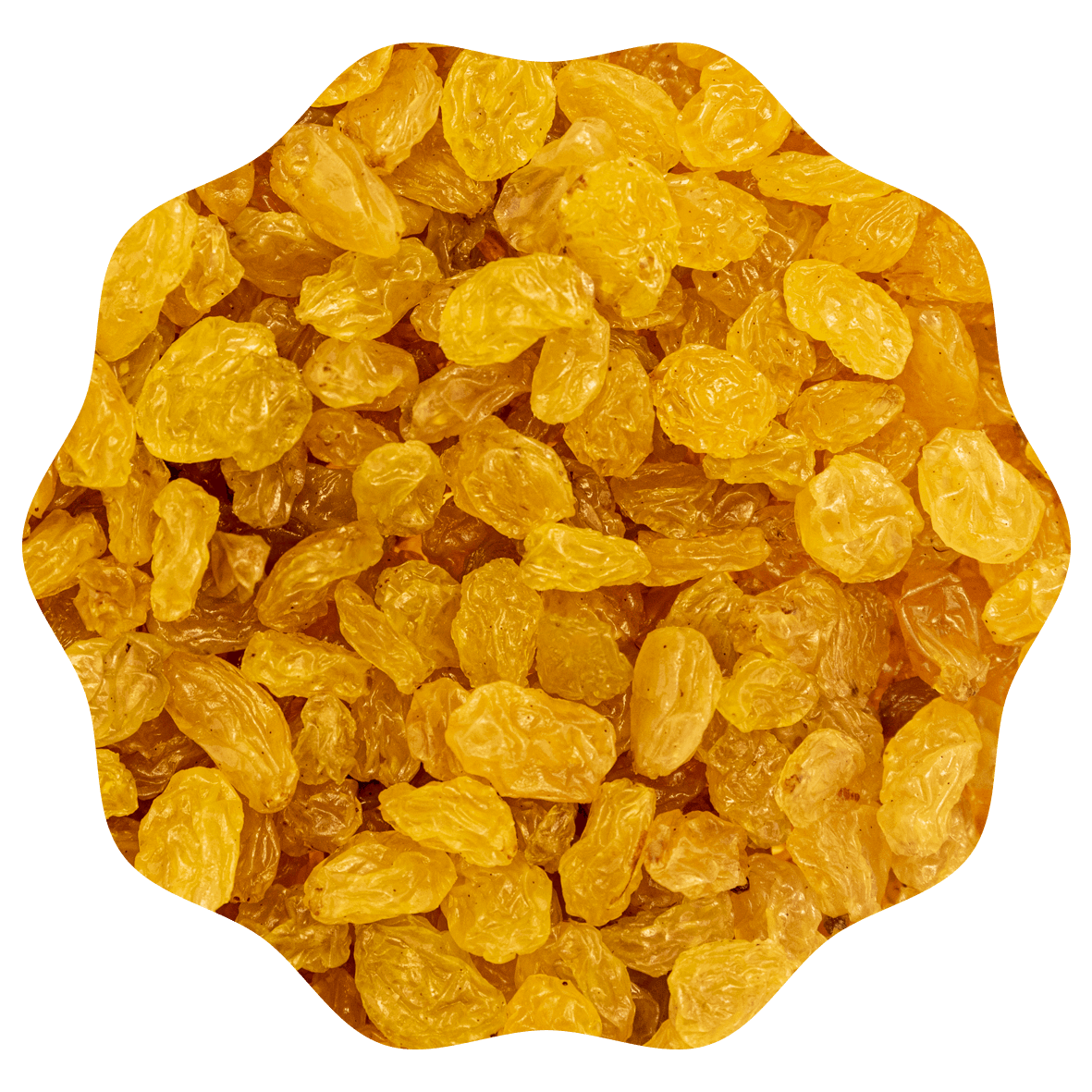 RANOBO RAISINS BLANCS
