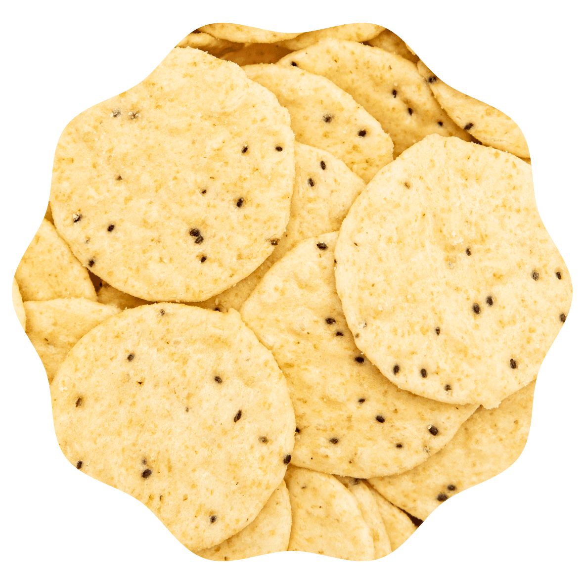 CRACKERS AU SEL MARIN DE RANOBO
