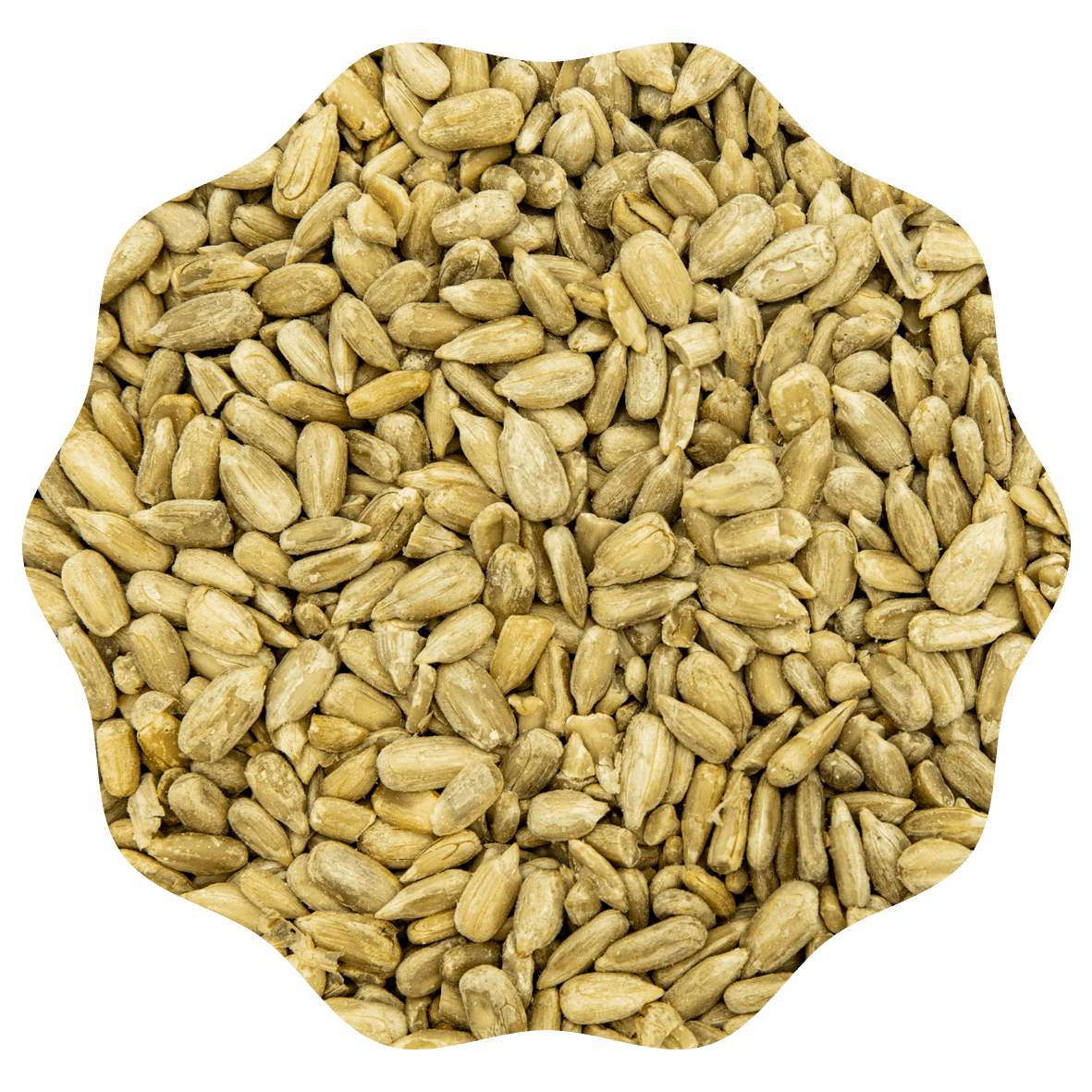 RANOBO GRAINES DE TOURNESOL