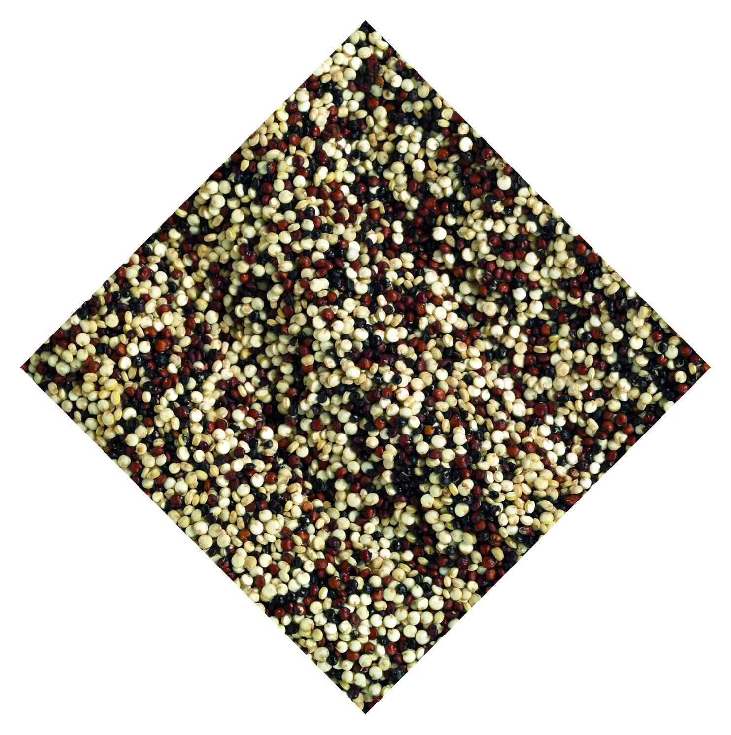 QUINOA TRI-COLOURS (Notekraker)