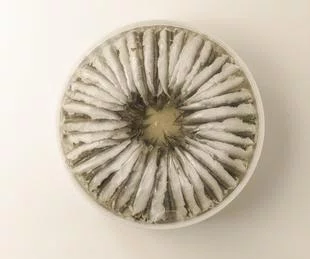 ANCHOIS MARINE