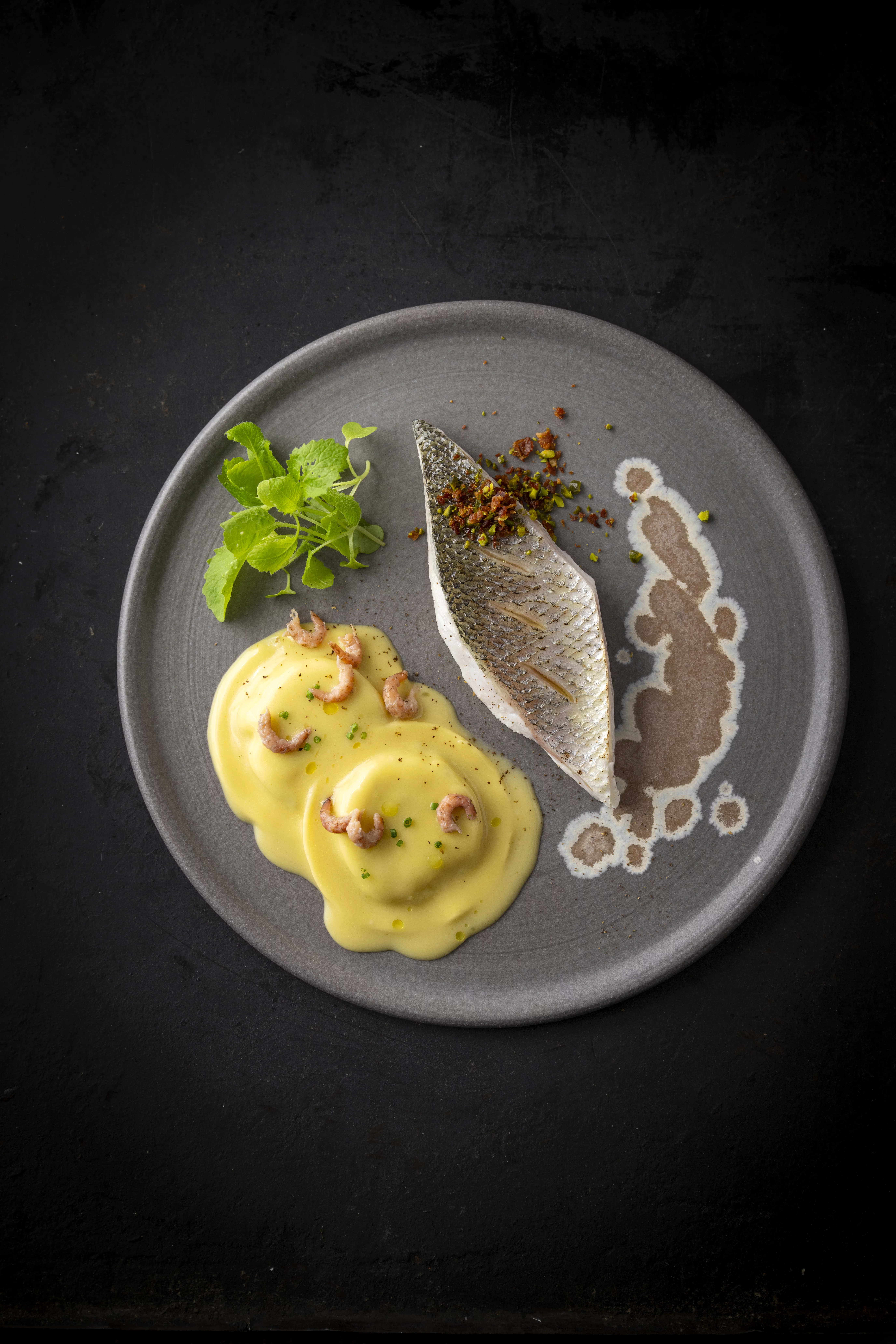 MEDAGLIONI AU LOUP DE MER