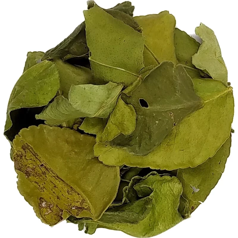 FEUILLES DE TILLERON SÉCHÉES