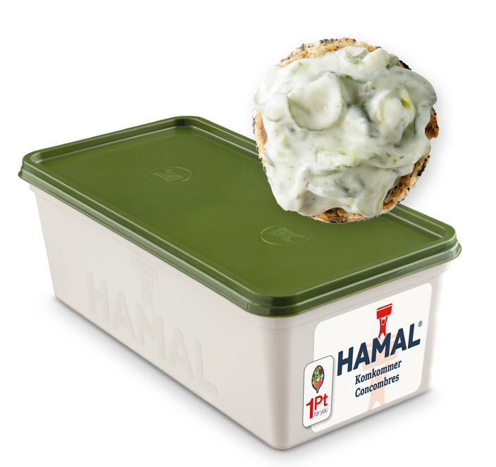 HAMAL SALADE CONCOMBRES