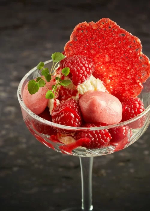 MOUSSE - SIPHON EVOLUTION FRAMBOOS - ESPUMA