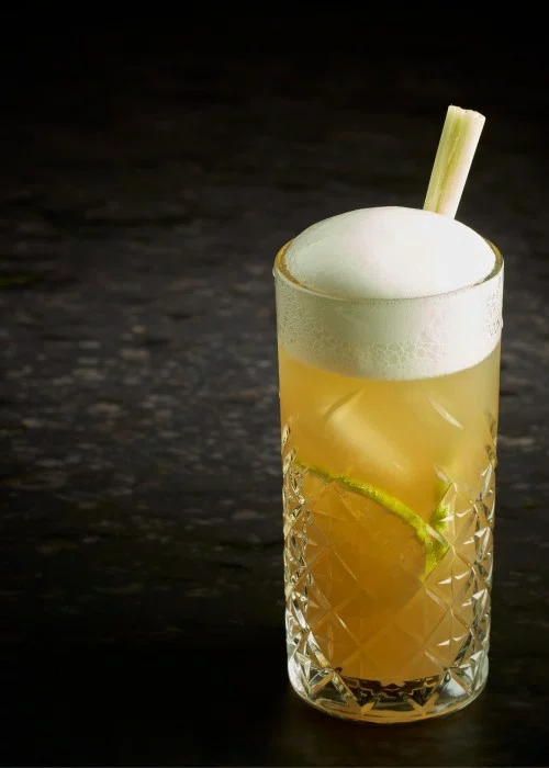 R&D SIPHON-EVOLUTION COCKTAIL-MOUSSE GINGEMBRE/CITONNIÈRE