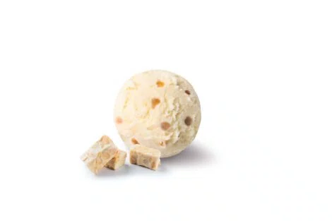 CREME GLACEE NOUGAT AMANDES