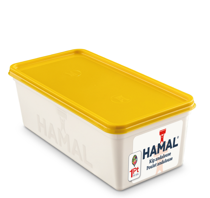HAMAL SALADE POULET ANDALOUSE