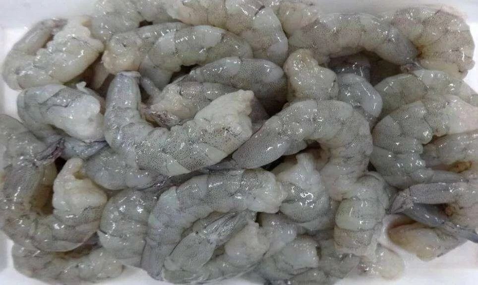 SCAMPI'S 16/20 Peles