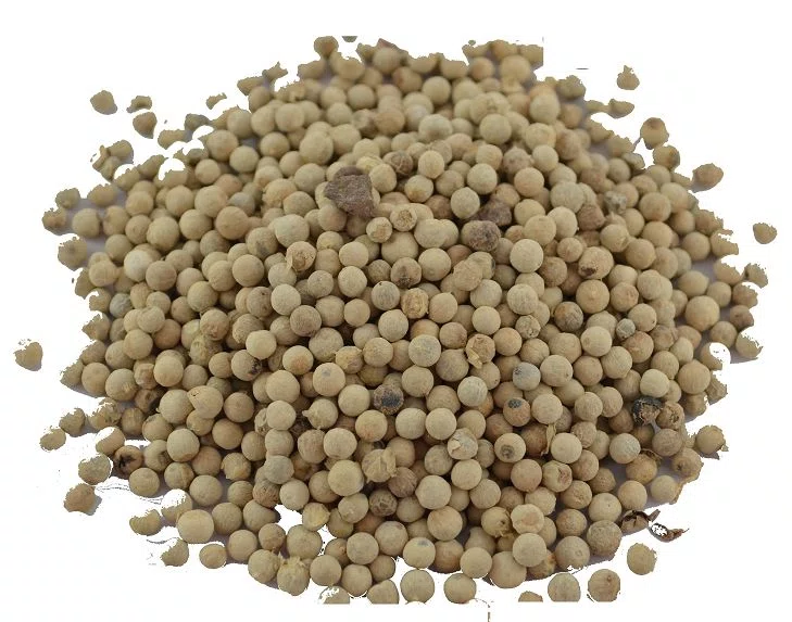 POIVRE BLANC GRAINS ISFI